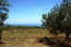 For sale:  land - Kassandra (4115-218) | Dom2000.com #24498262