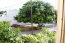 For sale:  3-room apartment - Rodos (4112-219) | Dom2000.com #24467293