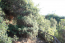 For sale:  home - Sithonia (5136-222) | Dom2000.com #33117227
