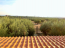 For sale:  home - Sithonia (5586-222) | Dom2000.com #36511367