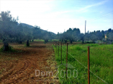 For sale:  land - Pelloponese (7679-222) | Dom2000.com