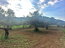 For sale:  land - Pelloponese (7679-222) | Dom2000.com #51378804
