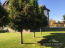 For sale:  home - Старокиевская str., Koncha-Zaspa area (10699-223) | Dom2000.com #78640018