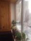 For sale:  2-room apartment - Курская ул., 13, Chokolivka (4841-223) | Dom2000.com #30988024