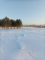 For sale:  land - посёлок Баушево str., с. Vvedenschina (10606-224) | Dom2000.com #77116017