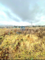 For sale:  land - д. Romanovskoe (10560-227) | Dom2000.com #76613932