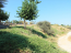 For sale:  land - Iraklion (crete) (4116-228) | Dom2000.com #24509863