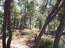 For sale:  home - Sithonia (4120-229) | Dom2000.com #24550892