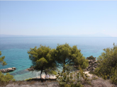 For sale:  home - Sithonia (4120-231) | Dom2000.com