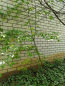 For sale:  home - Budi town (9978-232) | Dom2000.com #70163431
