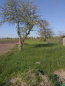 For sale:  land - Довга str., Fasova village (9750-233) | Dom2000.com #67848837