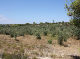 For sale:  land - Sithonia (4120-234) | Dom2000.com