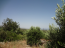For sale:  land - Iraklion (crete) (4116-236) | Dom2000.com #24509936