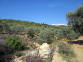 For sale:  land - Thasos (4118-237) | Dom2000.com