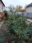 For sale:  home - Киевская улица, 134в str., Slov'yansk city (9588-237) | Dom2000.com #66390376
