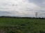 For sale:  land - Лесная ул., 49, Romankiv village (9778-238) | Dom2000.com #69223541