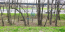 For sale:  shop - Симферопольское шоссе str., Scherbinka city (10551-239) | Dom2000.com #76520180