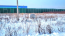 Продам земельный участок - д. Гривно (10558-240) | Dom2000.com #76593108