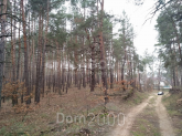 Продам земельный участок - с. Плюты (9552-241) | Dom2000.com