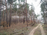 Продам земельну ділянку - с. Плюти (9552-241) | Dom2000.com
