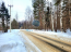 For sale:  land - Russia (10606-244) | Dom2000.com #77116259