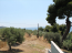For sale:  home - Kassandra (4120-244) | Dom2000.com #24551101
