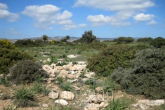 Продам земельну ділянку - Cyprus (5281-248) | Dom2000.com