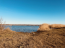 For sale:  land - Лиманная str., Schorsove village (9697-248) | Dom2000.com #67366443