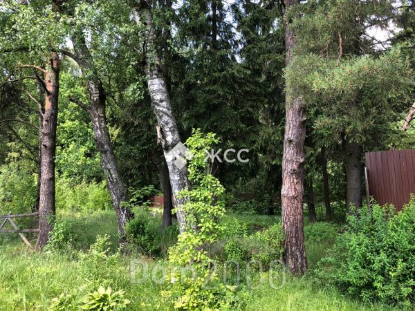 Продам земельный участок - 5-я Васильковая улица, д. Васильки (10615-249) | Dom2000.com