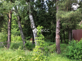 Продам земельный участок - 5-я Васильковая улица, д. Васильки (10615-249) | Dom2000.com
