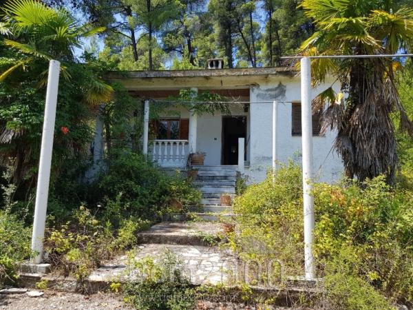 For sale:  home - Kassandra (6683-249) | Dom2000.com