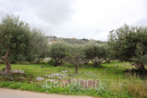 Продам земельный участок - Ираклио (Крит) (4113-252) | Dom2000.com