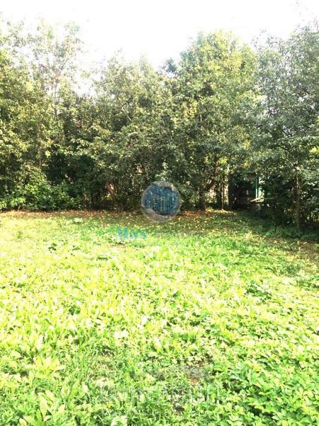 Продам земельный участок - СНТ Дубрава, 10, д. Расторопово (10277-253) | Dom2000.com