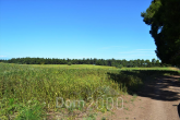 For sale:  land - Kassandra (4112-253) | Dom2000.com