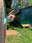 For sale:  home - дп. Trud Veterana (10499-255) | Dom2000.com #75969112