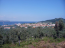 For sale:  land - Thasos (4118-255) | Dom2000.com #24531648