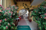 For sale hotel/resort - Kerkyra (Corfu island) (4118-259) | Dom2000.com #24531688