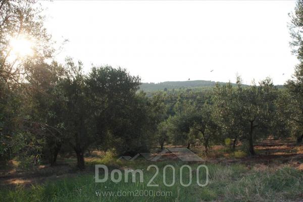 For sale:  land - Sithonia (5281-259) | Dom2000.com