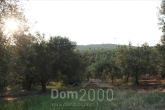 For sale:  land - Sithonia (5281-259) | Dom2000.com