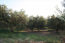 For sale:  land - Sithonia (5281-259) | Dom2000.com #34153546
