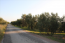 For sale:  land - Sithonia (5281-259) | Dom2000.com #34153547