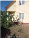 Продам дом - Нечуй-Левицкого ул., Днепровский (9818-259) | Dom2000.com #68516974