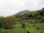 For sale:  land - Thasos (4118-261) | Dom2000.com #24531700