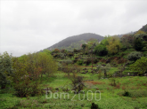 For sale:  land - Thasos (4118-261) | Dom2000.com