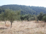 For sale:  land - Sithonia (4120-261) | Dom2000.com #24551291