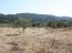 For sale:  land - Sithonia (4120-261) | Dom2000.com #24551292