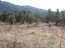 For sale:  land - Sithonia (4120-261) | Dom2000.com #24551293
