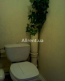 Lease 1-room apartment - Ахматовой Анны, 6 str., Darnitskiy (9175-263) | Dom2000.com #62634406
