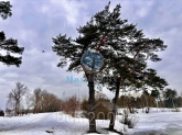 Продам земельный участок - ул. Монастырская улица, г. Видное (10620-265) | Dom2000.com