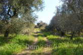 For sale:  land - Kerkyra (Corfu island) (4113-271) | Dom2000.com